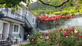 Guest House Green Rose